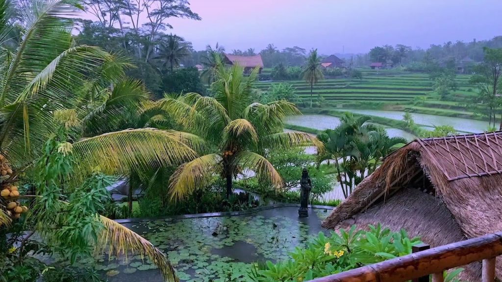 Best Months To Visit Bali 2025 Season Gert Rebbecca