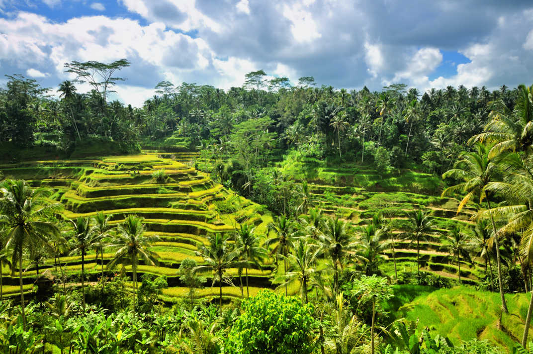 ubud 2